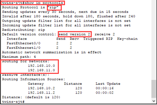 twins-sjt#show ip protocols