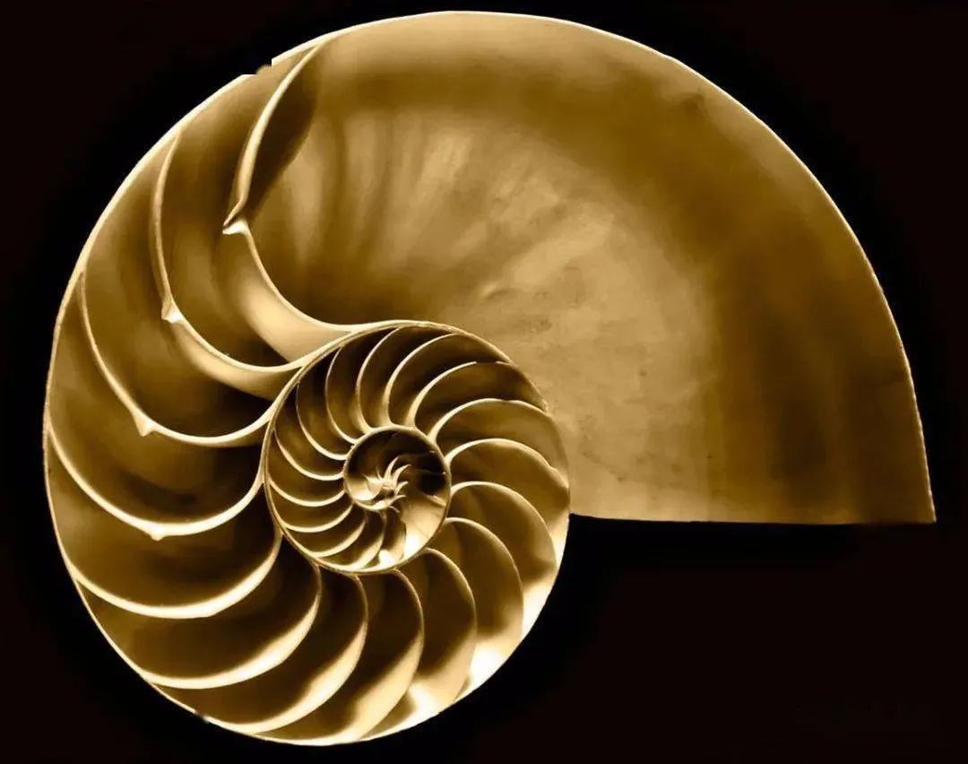 803f726075ba68e08ab37f4600c3b253.png