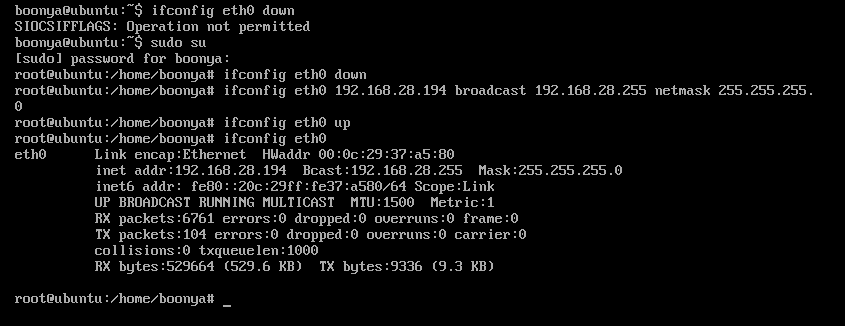 101853_4nX6_592236.png