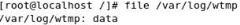 clip_p_w_picpath008