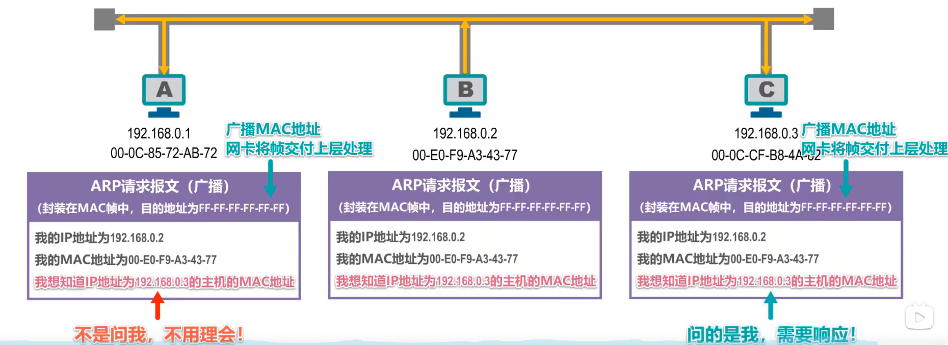 image-20220302094119863