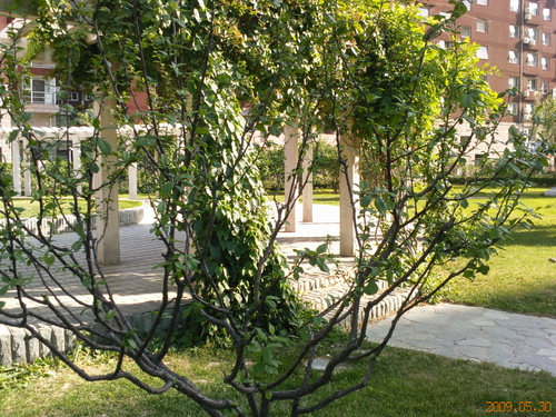 WinCE6.0双雄 酷派N900/魅族M8对比评测