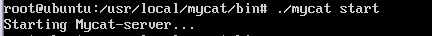 mycat启动