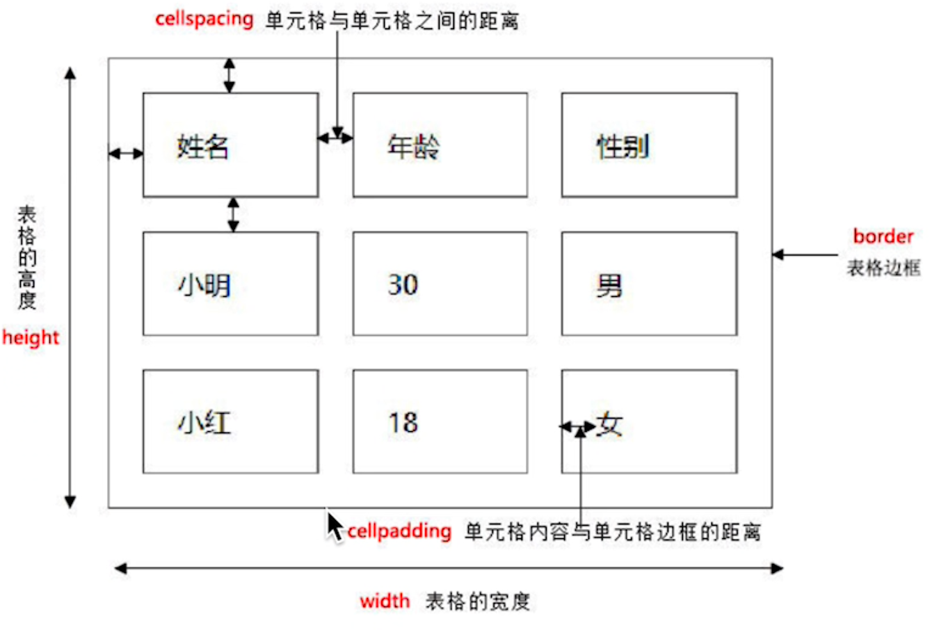 Web前端-HTML(表格与表单)_前端表格-CSDN博客