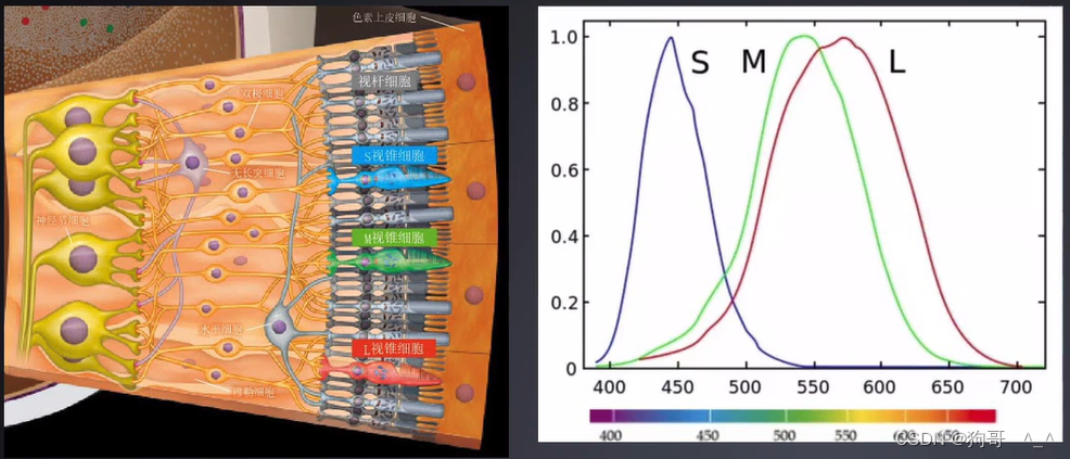 [外链图片转存失败,源站可能有防盗链机制,建议将图片保存下来直接上传(img-bVWJ52xZ-1678179718427)(C:\Users\86166\AppData\Roaming\Typora\typora-user-images\image-20211220212202851.png)]