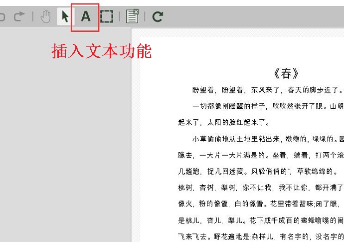 图3：插入文本功能