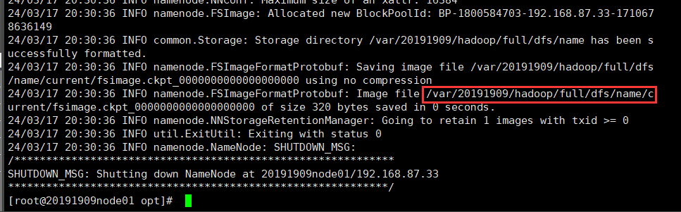 image-20240317203253943