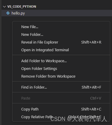 VS Code搭建Python开发环境_为什么没人用vs写python-CSDN博客