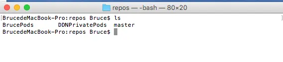Cocoapods-09.png