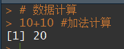 运行结果
