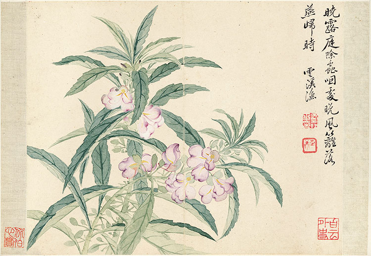 名画280 恽寿平《花卉十开》_恽寿平花卉十开七是什么花-CSDN博客