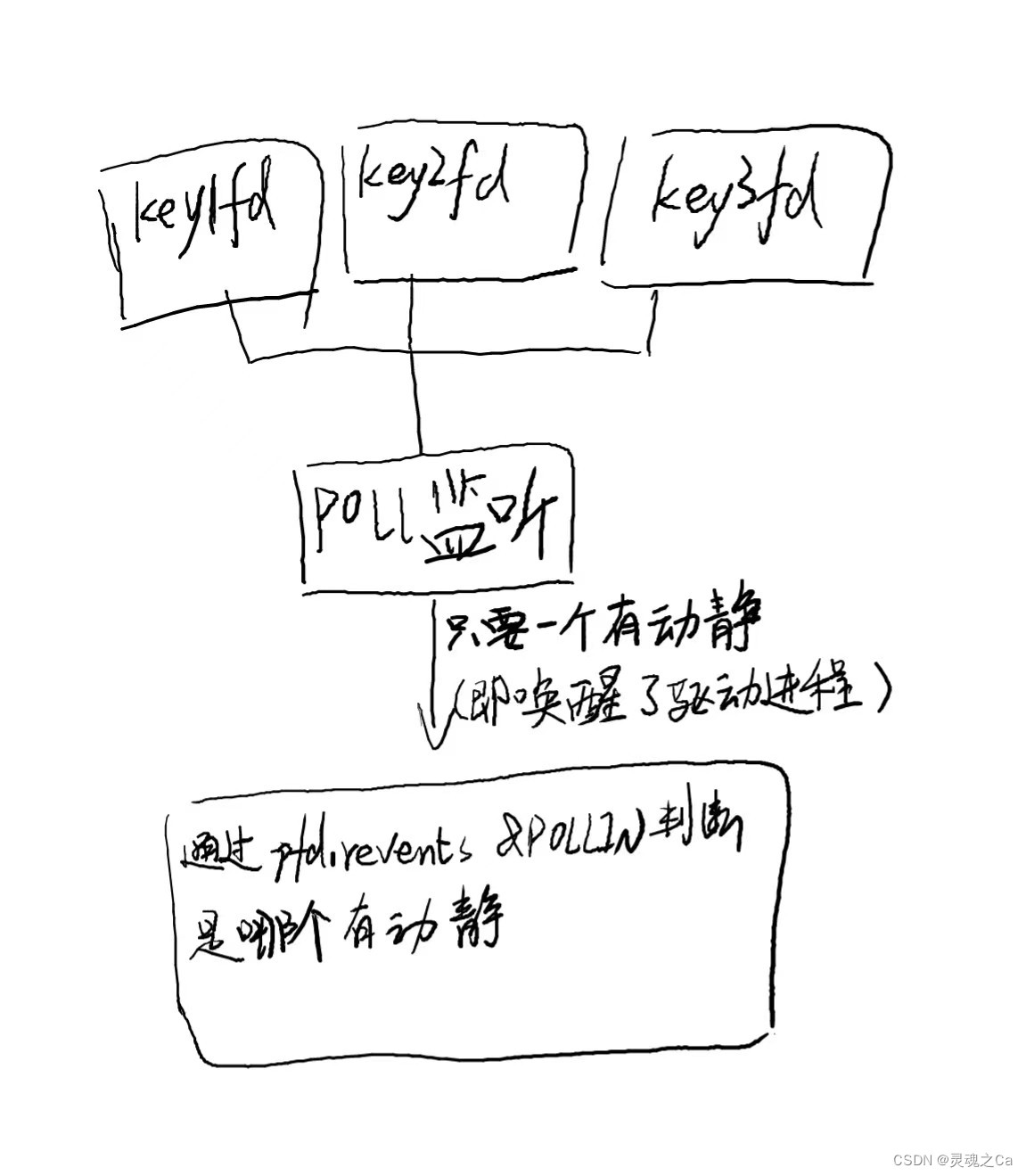 IO模型之POLL_编程里面poll是什么意思-CSDN博客