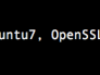 ubuntu系统使用SSH免密码登陆