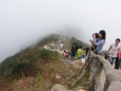 梧桐山