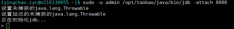 webp