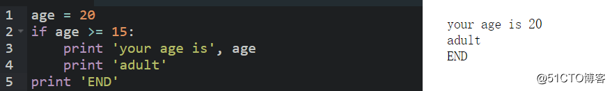 Python条件判断和循环