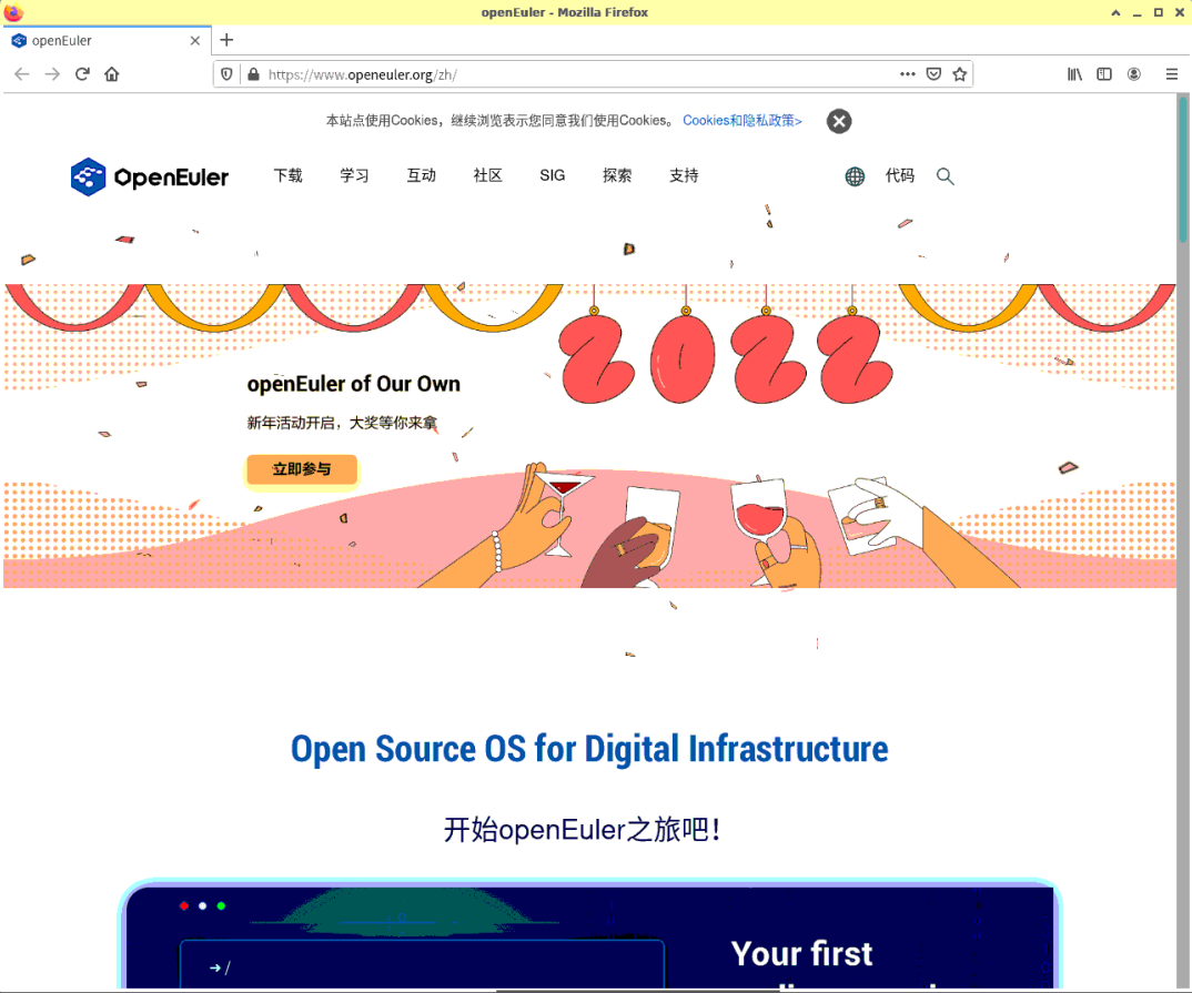 图 27 网络浏览器-big