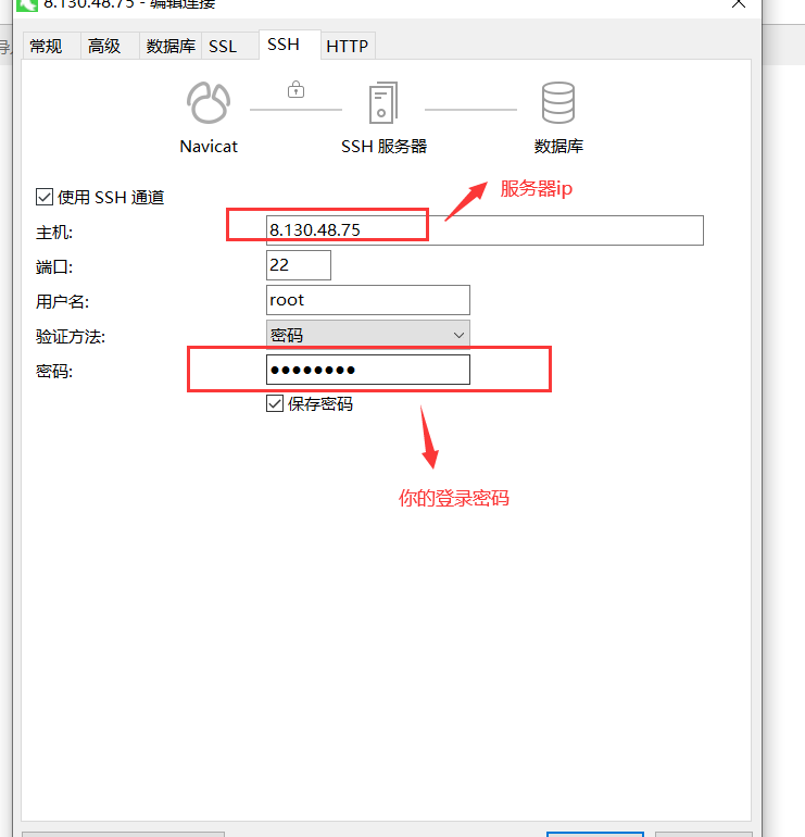 image-20240201160038218