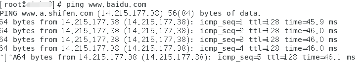 linuxping通百度