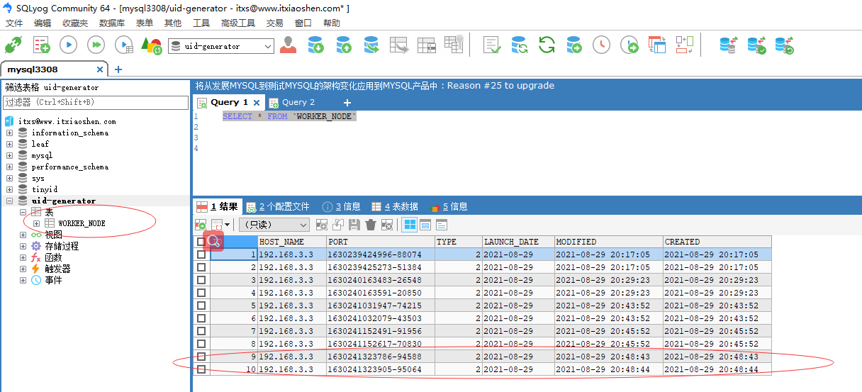 image-20210829205247880