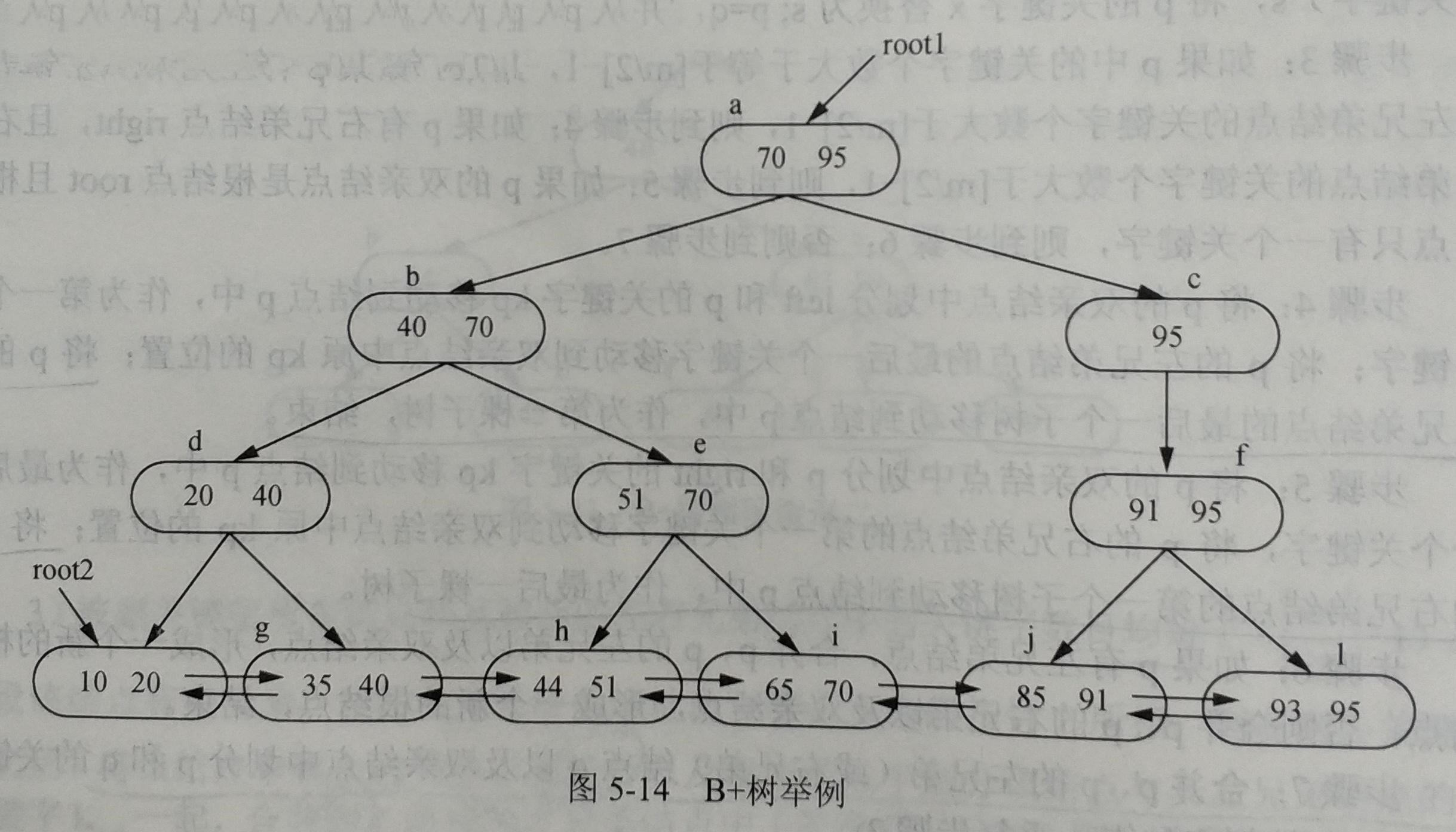B+树