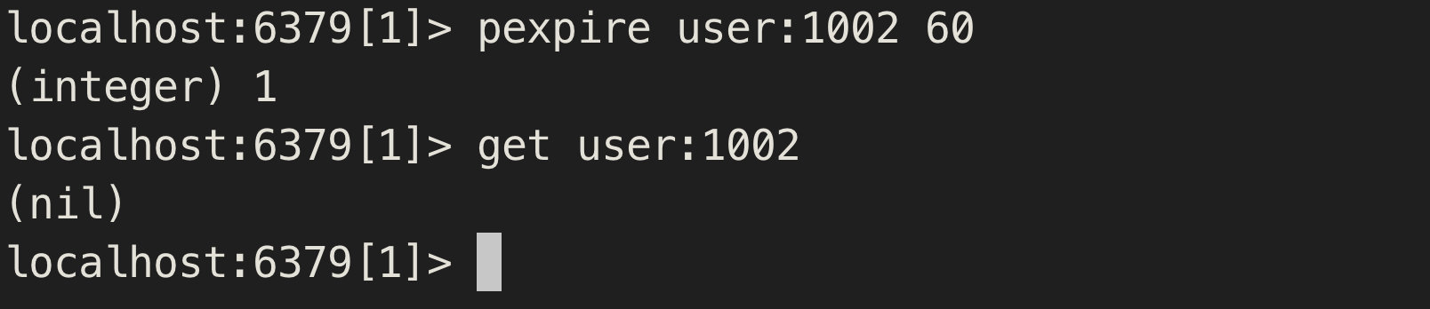 image-20190206013625664