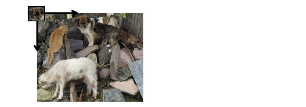 image-20240127160503427