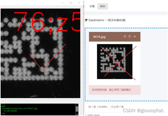 能力展现】魔改ZXING源码实现商业级DM码检测能力-CSDN博客