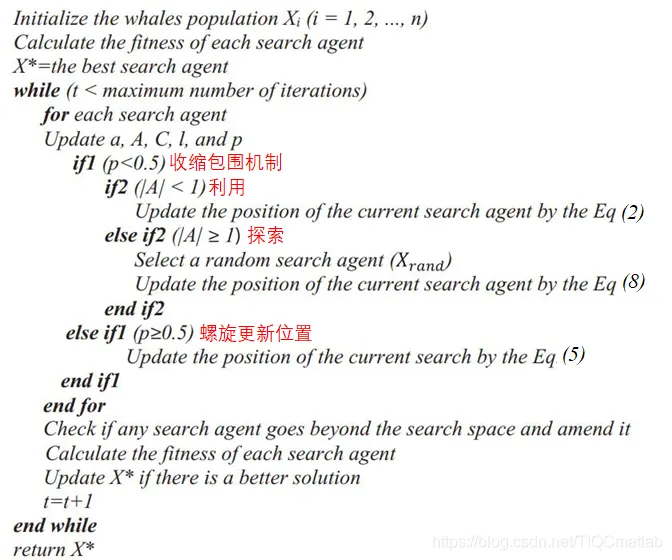 【WSN】基于改进鲸鱼算法算法实现无线传感器网络wsn节点部署优化matlab源码_wsn_19