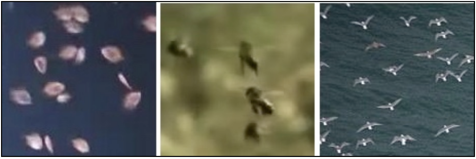 f6db4ff67cddfcdc9fe9a859d70a1df7.png