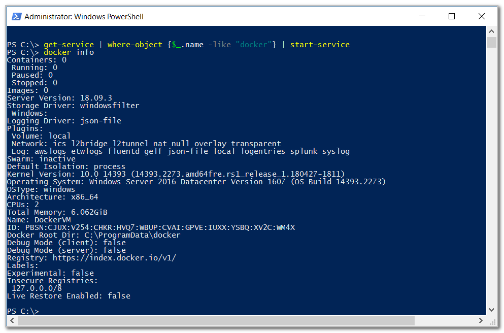 verifying docker container information