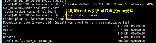 安装cmake