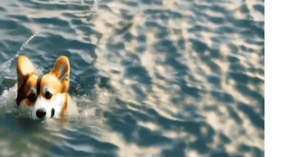 166b8beba3645a7ff7d939fb688fea96.gif