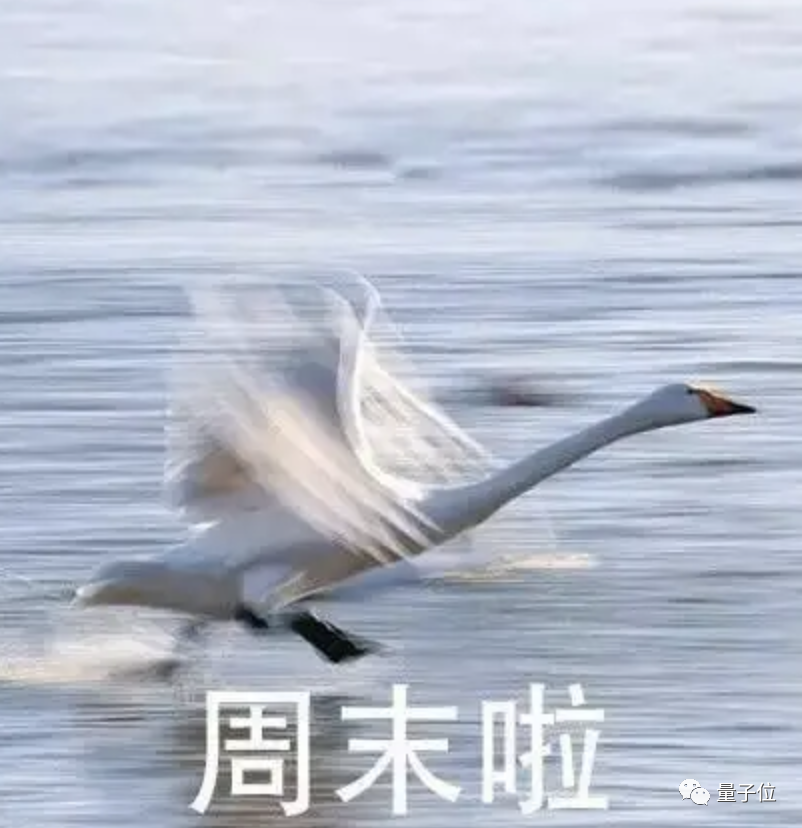 b658e0ce7c7f5006950aeab41282f385.png