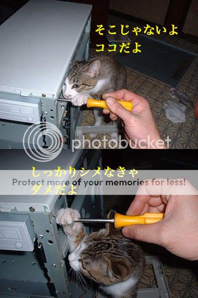 点击在新窗口中查看该图片