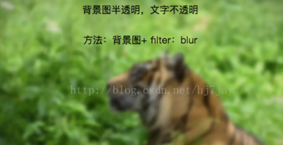 4424012-87a2c5a5cf72904c.png