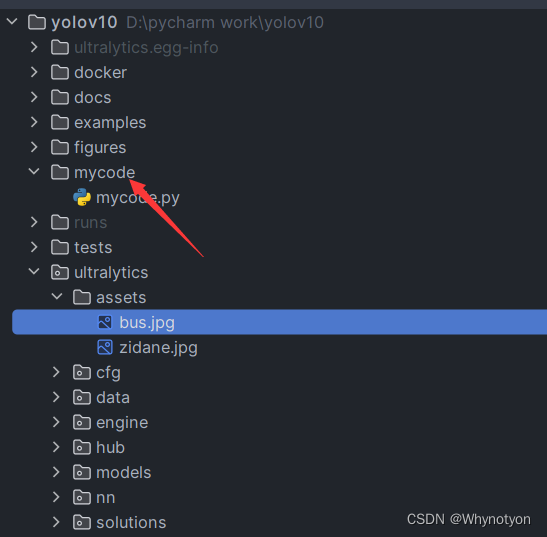 YOLO V10 部署运行检测图片_yolov10的权重文件-CSDN博客