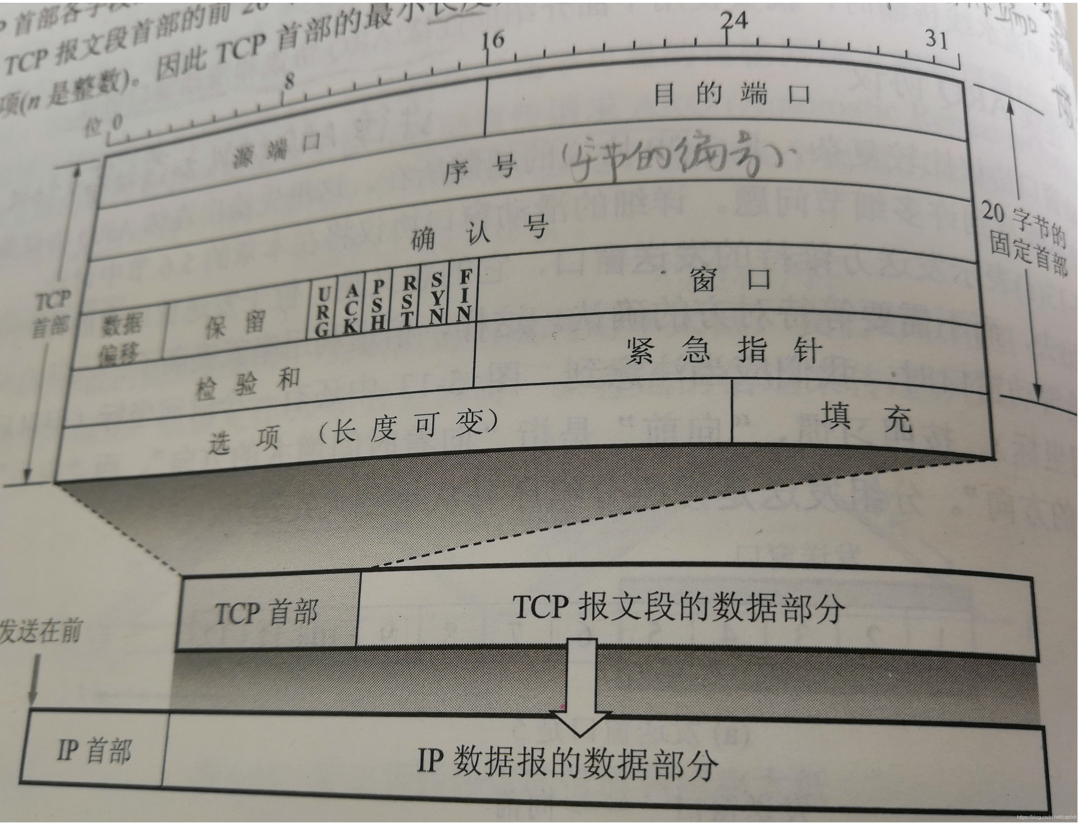 在这里插入图片描述