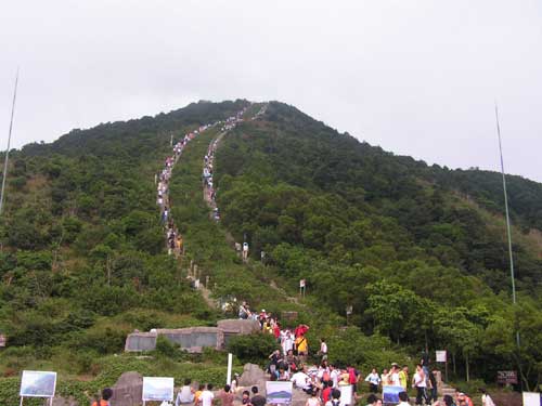 梧桐山