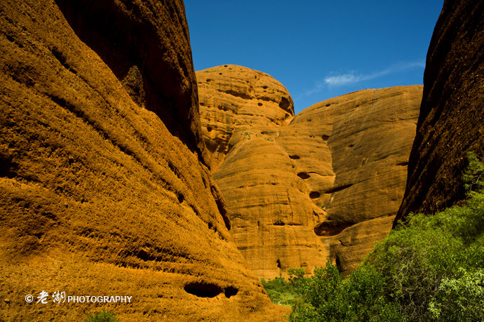 [转载]环游澳大利亚18天——前传与攻略