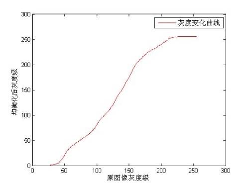查看更多精彩图片