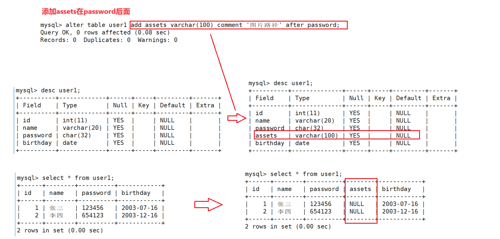 MySQL —— 表的基本操作-CSDN博客