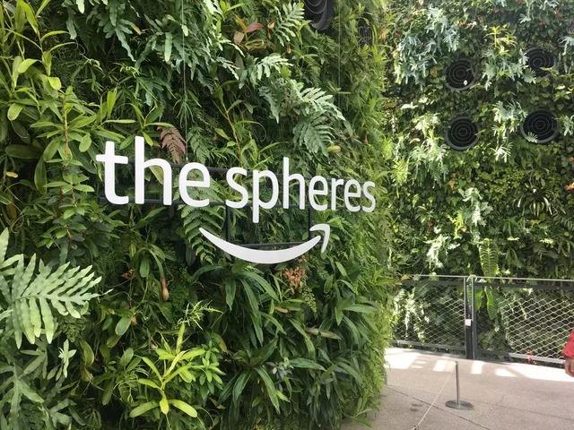 西雅图亚马逊1个月入职日记，传闻中的“血汗工厂”真实存在吗？