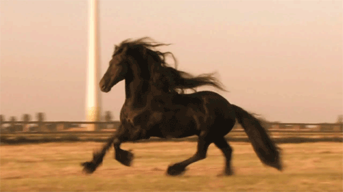 335ae51a-0026-40f6-b0b6-18f74fb4d674.gif