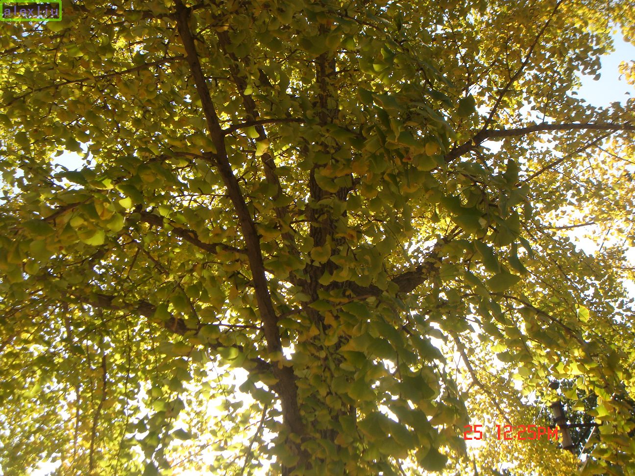 2008102609535331.jpg