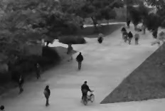 图像1