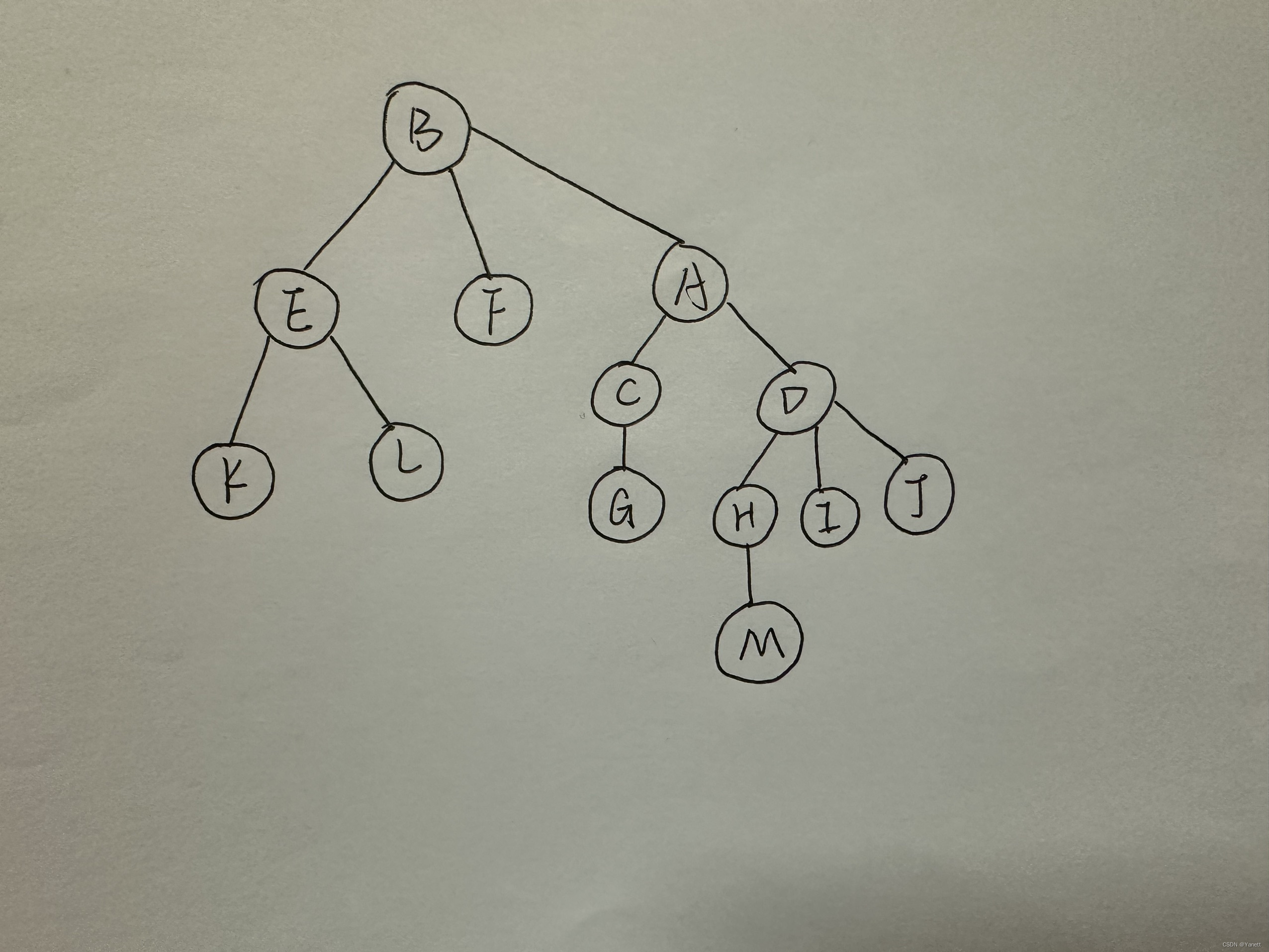 DFS深度优先搜索之无根树的深度优先遍历（#树的重心）_c++无根树dfs-CSDN博客