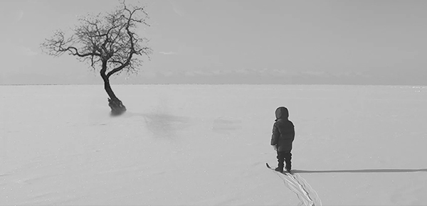 python 合并excel？