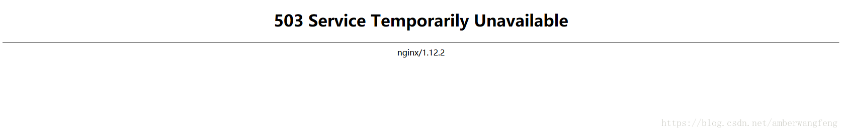503Error